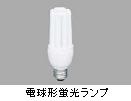 電球形蛍光ランプ（ＥＦＤ）